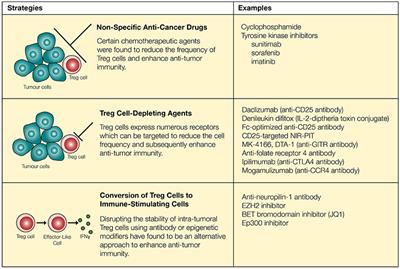 Turning the Tide Against Regulatory T Cells